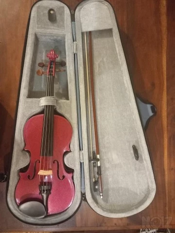 Stentor SR1401 Harlequin Violin 1/2 Rasp